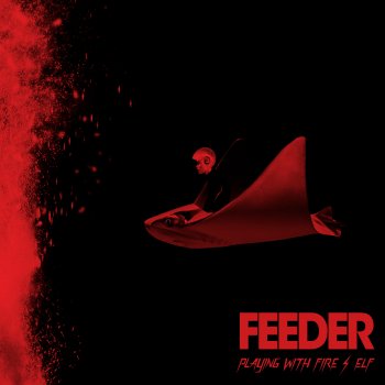 Feeder Playing With Fire