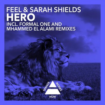 Feel feat. Sarah Shields Hero (Mhammed el Alami Remix)