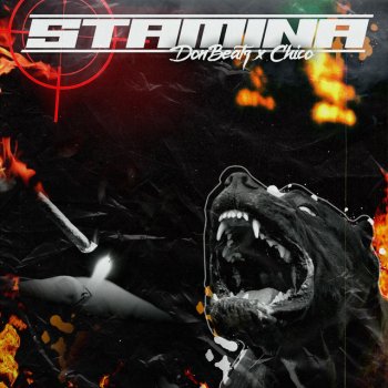 DonBeatz feat. Chico Yuhzimi Stamina