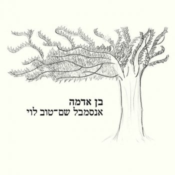 שם טוב לוי נרדיס