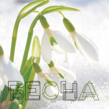 Voltov Весна