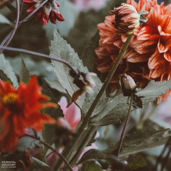 J Magnus Flowers