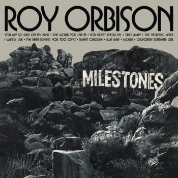 Roy Orbison The World You Live In