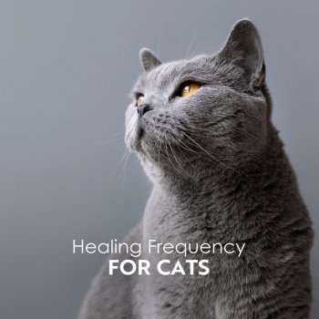 Cats Music Zone feat. Reiki Healing Zone & Relax Ambience Om Chanting