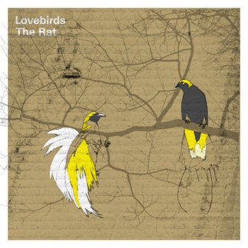 Lovebirds The Sound