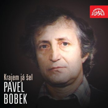 Pavel Bobek feat. Skupina Groš On The Amazon