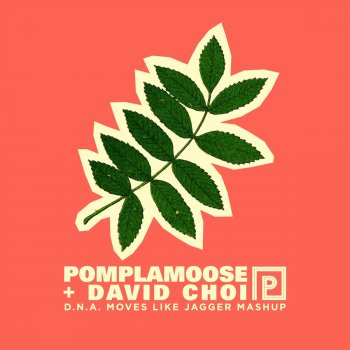 Pomplamoose feat. David Choi D.N.A. Moves Like Jagger Mashup