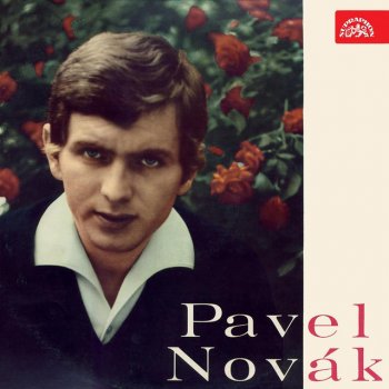 Pavel Novák Vím, že jen sním (Green, Green Grass Of Home)