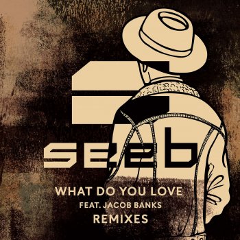 Seeb feat. Jacob Banks What Do You Love (Eyes Of Providence Remix)