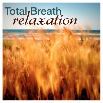 Spa Music Collective Meditation Music