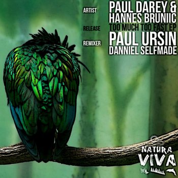 Исполнитель Paul Darey & Hannes Bruniic, альбом Too Much Too Fast Ep