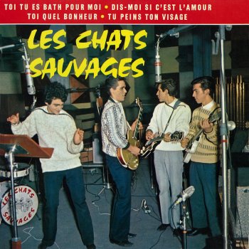 Les Chats Sauvages feat. Dick Rivers Dis-moi si c'est l'amour