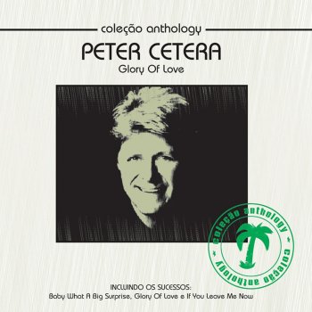 Peter Cetera No Explanation