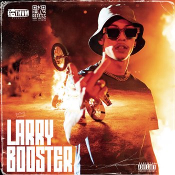 Larry Booster