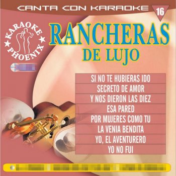 Multi Karaoke Si No Te Hubieras Ido