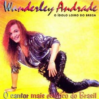 Wanderley Andrade Melô do Ladrão