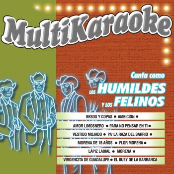 Multi Karaoke Vestido Mojado