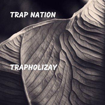 Trap Nation Hard 100