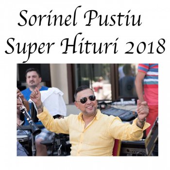 Sorinel Pustiu Ca un Tablou te Privesc