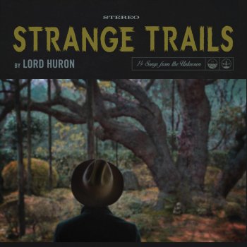 Lord Huron Frozen Pines