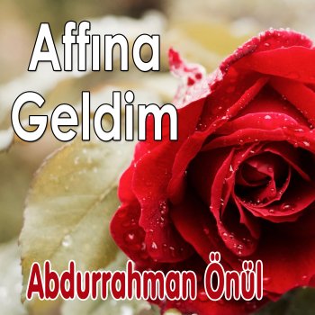 Abdurrahman Önül Dağlar İle Taşlar İle