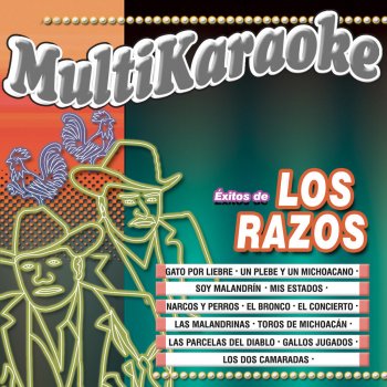 Multi Karaoke Mis Estados