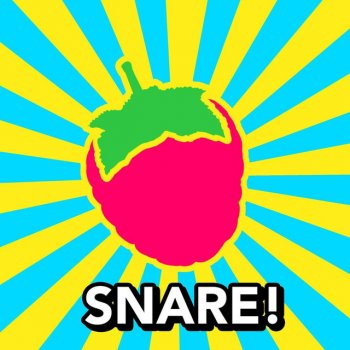 Snare The Rich Kids Have All the Fun