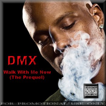 DMX The Way It's Gonna Be