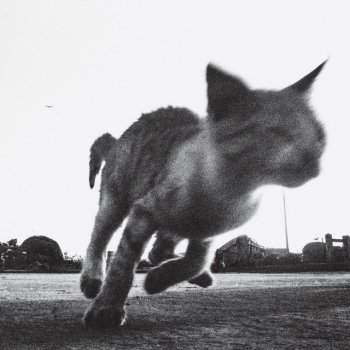 Исполнитель Annabel Lee, альбом High Anxiety