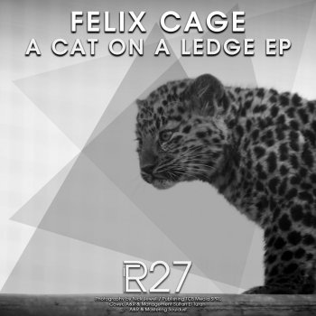 Исполнитель Felix Cage, альбом A Cat On a Ledge