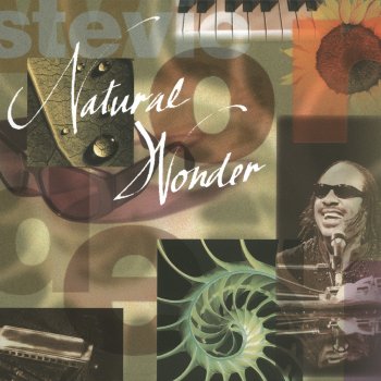 Stevie Wonder Pastime Paradise (Natural Wonder Live)