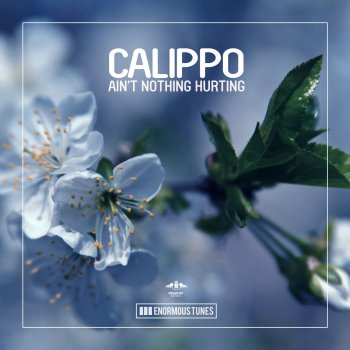 Calippo Ain't Nothing Hurting (Club Mix)