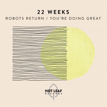 22 Weeks You're Doing Great (Extended Mix)