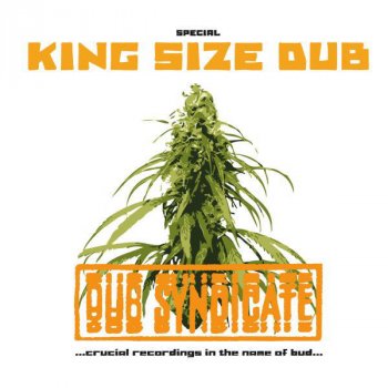 Dub Syndicate Private I