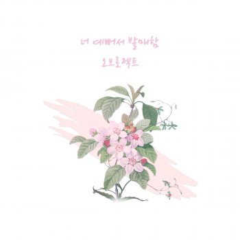 오브로젝트 너 예뻐서 발매함 You Are So Pretty