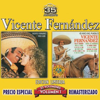 Vicente Fernández Mi Ciudad