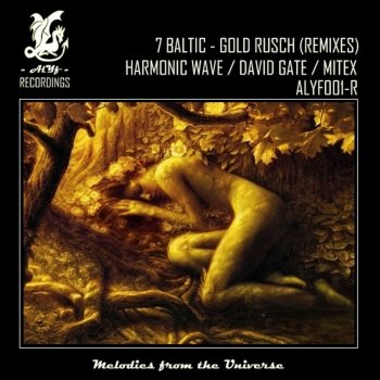 Исполнитель 7 Baltic, альбом Gold Rusch (Remixes)