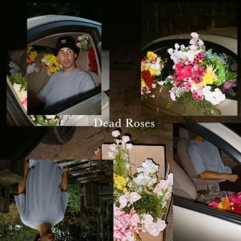 Ollie Dead Roses