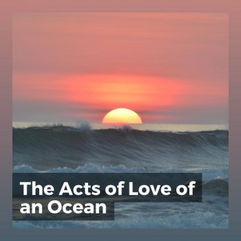 Ocean Sounds Being Serenade by the Sea Waves