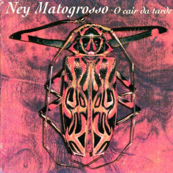 Ney Matogrosso Tema De Amor De Gabriela