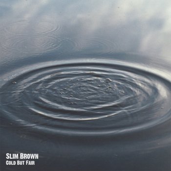 Slim Brown Its Gone Fly