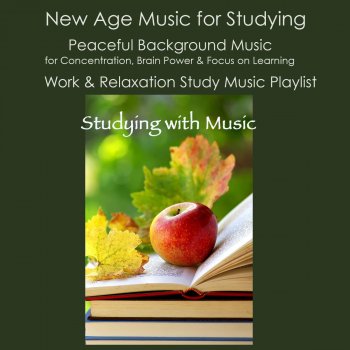 Studying Music Artist Relaxation Music - Calm Music to Read