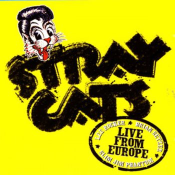 Stray Cats Ubangi Stomp (Live)