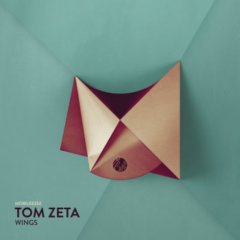 Tom Zeta Walk In The Park