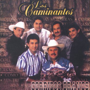 Los Caminantes Cómo Te Extraño, Papá