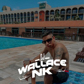 DJ Wallace NK Todo Mundo Aqui Vai Dançar