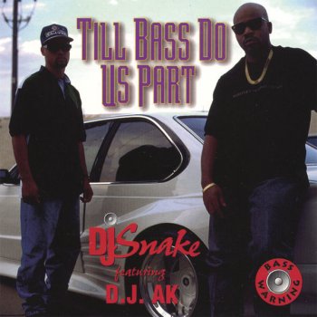 DJ Snake Snake's Last Remix