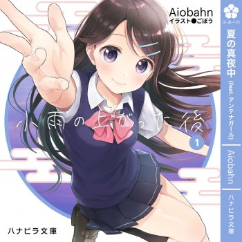 Aiobahn Midnight on Summer