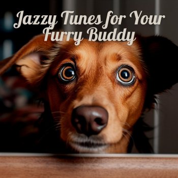 Dogs Jazz Keep Your Pet Quiet