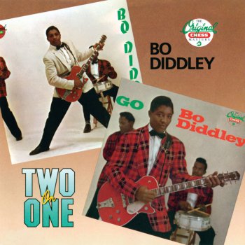 Bo Diddley Crackin' Up - Single Version